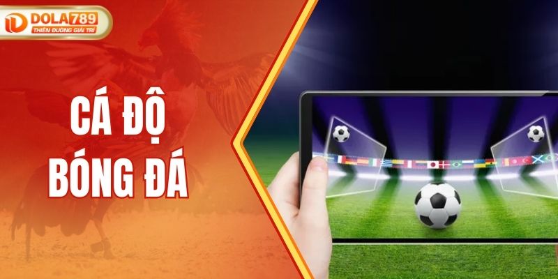 Kinh Nghiệm Cá Độ Bóng Đá Hiệu Quả Cho Người Mới Tham Gia