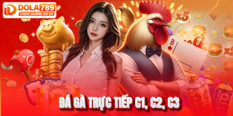 Đá gà trực tiếp Thomo C1 C2 C3 chất lượng