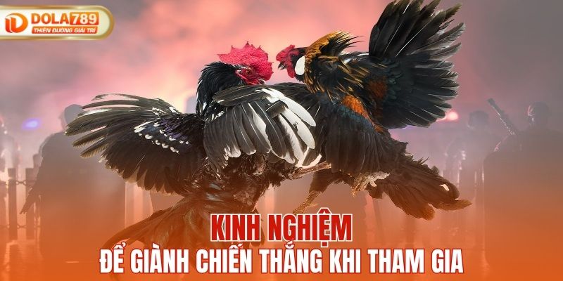 Kinh nghiệm giúp người chơi thắng lớn khi tham gia