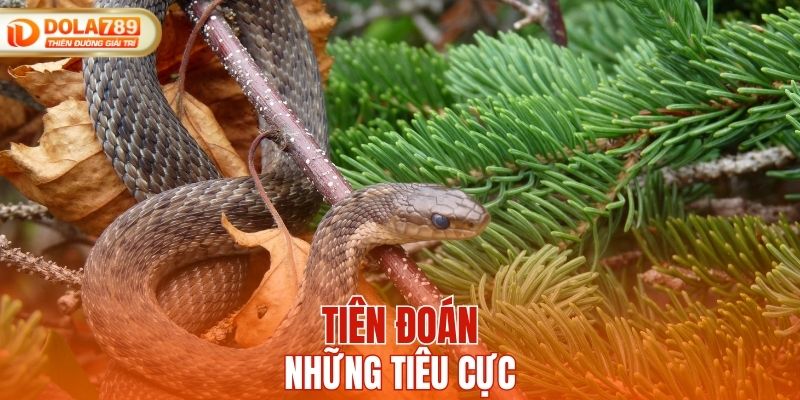 Tiên đoán những tiêu cực