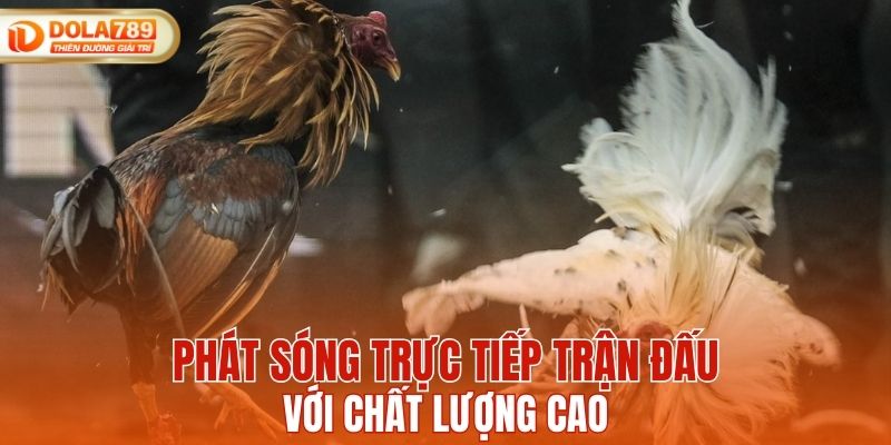 Trận đấu được phát sóng trực tiếp với chất lượng cao